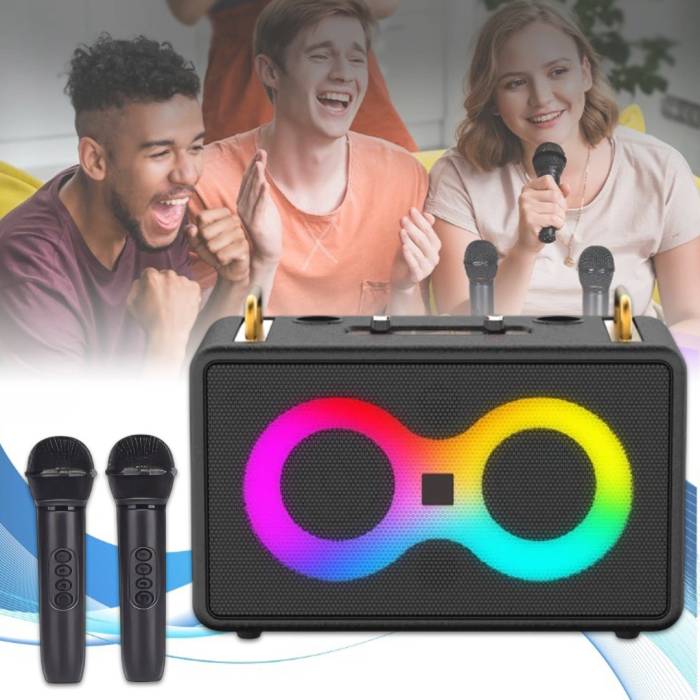 Музыкальная колонка с 2 беспроводными микрофонами SP-240924-2 RGB Bluetooth Черный