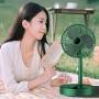 Вентилятор настольный с телескопической ножкой и питанием от USB Folding Storage Fan Зеленый