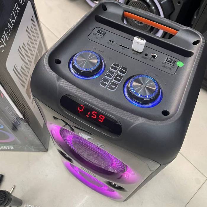 Колонка Bluetooth TTD-2809 20Вт с караоке микрофоном и пультом управления и подсветкой
