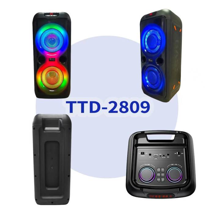 Колонка Bluetooth 20Вт с караоке микрофоном и пультом управления и подсветкой TTD-2809