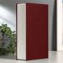 Сейф-книга "ENGLISH Dictionary" на замку з ключем Червона 265×200×65 мм