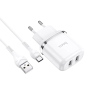 Зарядное устройство 220В USBx2 с кабелем USB - Type-C Hoco N4 Aspiring