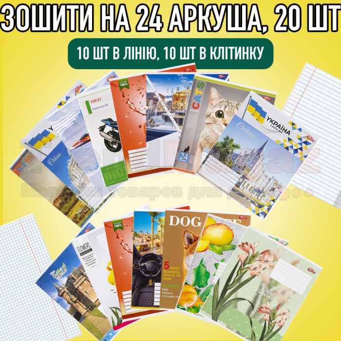 Школьный набор канцтоваров "Школьный успех" с 5 по 9 класс (Мальчик/Девочка)