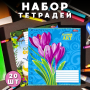 Зошит на 12 аркушів з кольоровою обкладинкою в лінію "Мрії" "mix" Упаковка 20 шт.