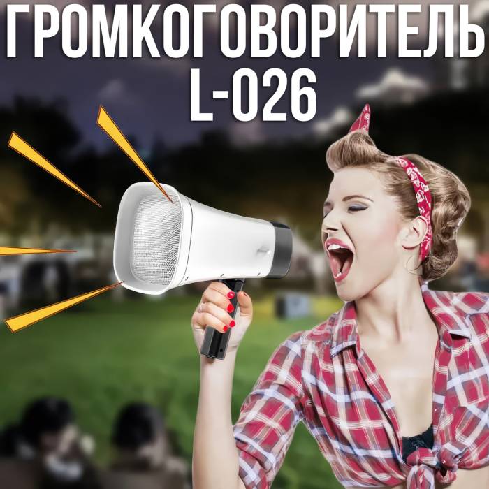 Гучномовець акумуляторний з Bluetooth, FM та LED ліхтариком WSJAR L-026