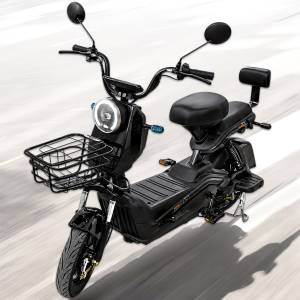 Електровелосипед двомісний VELOVA CITY 600W з амортизацією