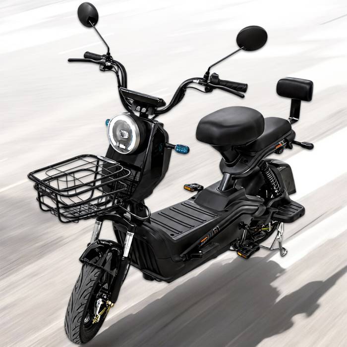Електровелосипед двомісний VELOVA CITY 600W з амортизацією
