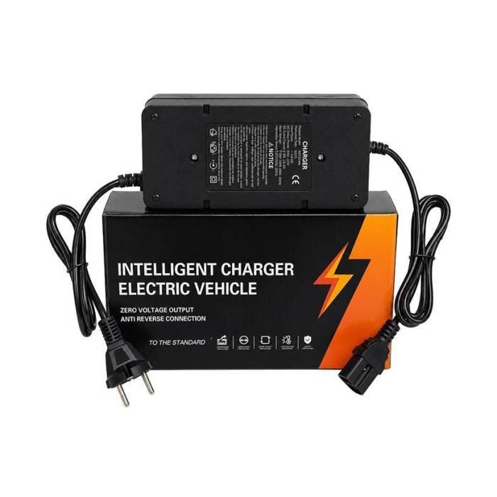 Електровелосипед двомісний VELOVA CITY 600W з амортизацією