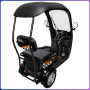 Триколісний електротрайк TRIVARO COMFORT з дахом та дощовиком 800W