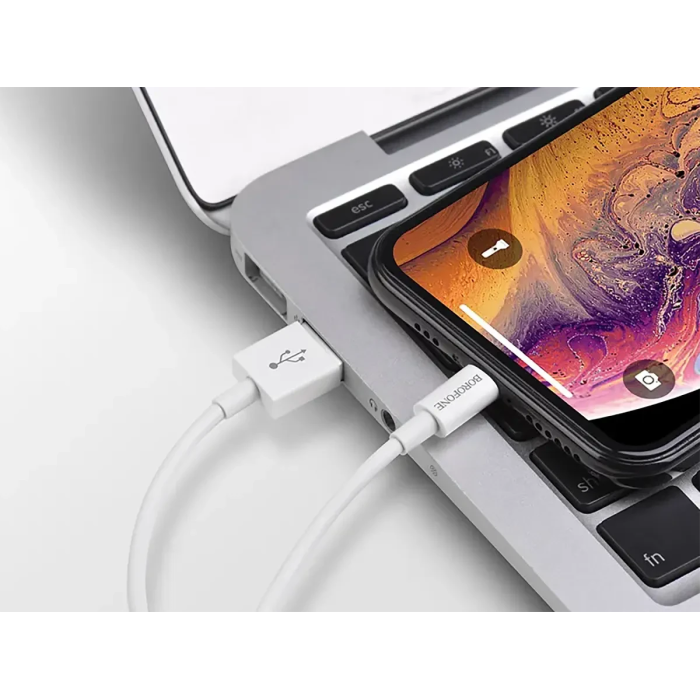 Кабель для заряджання USB - Lightning Borofone BX22 Bloom
