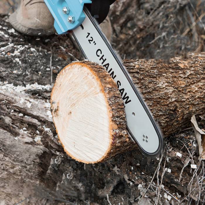 Ланцюгова пила з шиною 12 дюймів і 2 акумуляторами 48В в кейсі Electric Saw Blue