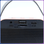 Портативна Bluetooth-колонка ZX-03 з двома мікрофонами та підсвічуванням 10W