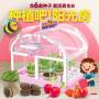 Детская игрушечная теплица на 6 растений Home made plant PINK Детский игровой набор с теплицей и аксессуарами