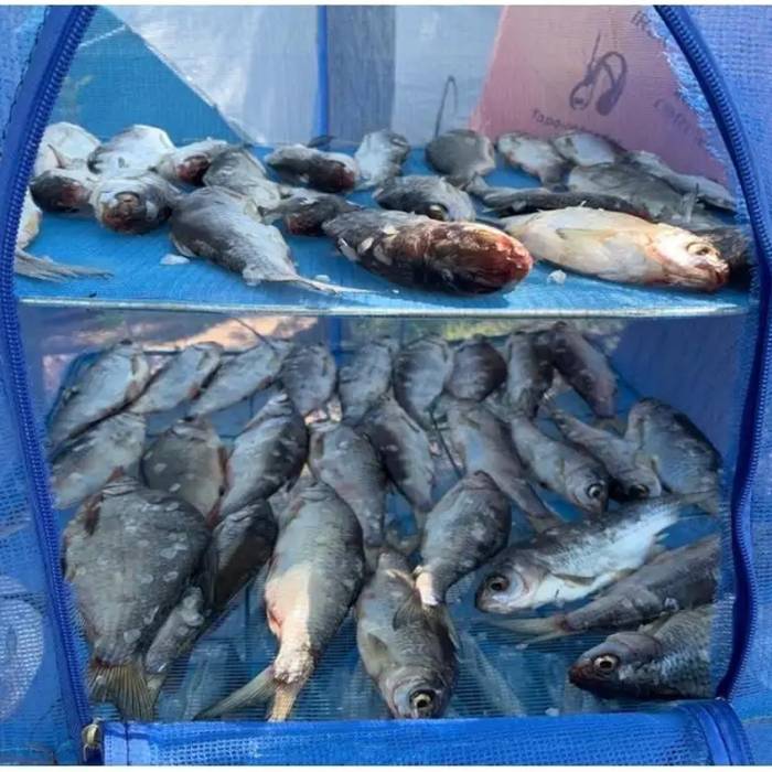 Корзина-сетка для сушки рыбы грибов и фруктов 40х40х75см Трехъярусная Подвесная складная сушилка для продуктов