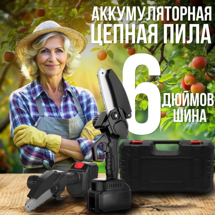 Акумуляторна ланцюгова пилка в валізі з 2 акумуляторами 24V