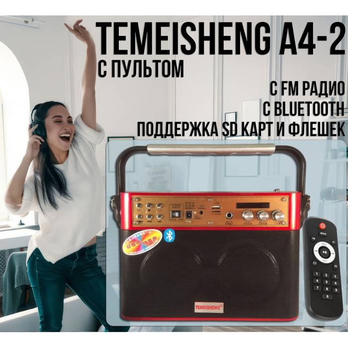 Bluetooth колонка з пультом, FM радіо та підтримкою флеш карт Temeisheng A4-2